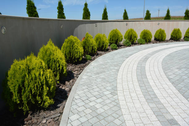 Best Driveway Repair Near Me  in Stevens Point, WI